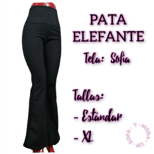 pata elefante sofia 